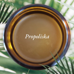 Propoliska