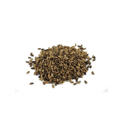 Soczysty ostropest plamisty Soczysty ostropest plamisty