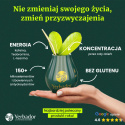 Yerba Mate – Owoce leśne