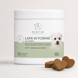 Na stawy dla psa – łapa w formie