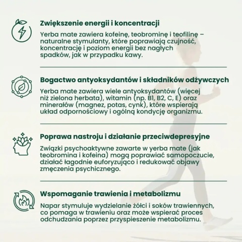 YERBA MATE – ZIOŁOWY BALANS YERBA MATE – ZIOŁOWY BALANS